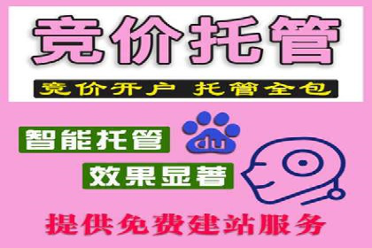 行业领先SEM服务公司案例研究